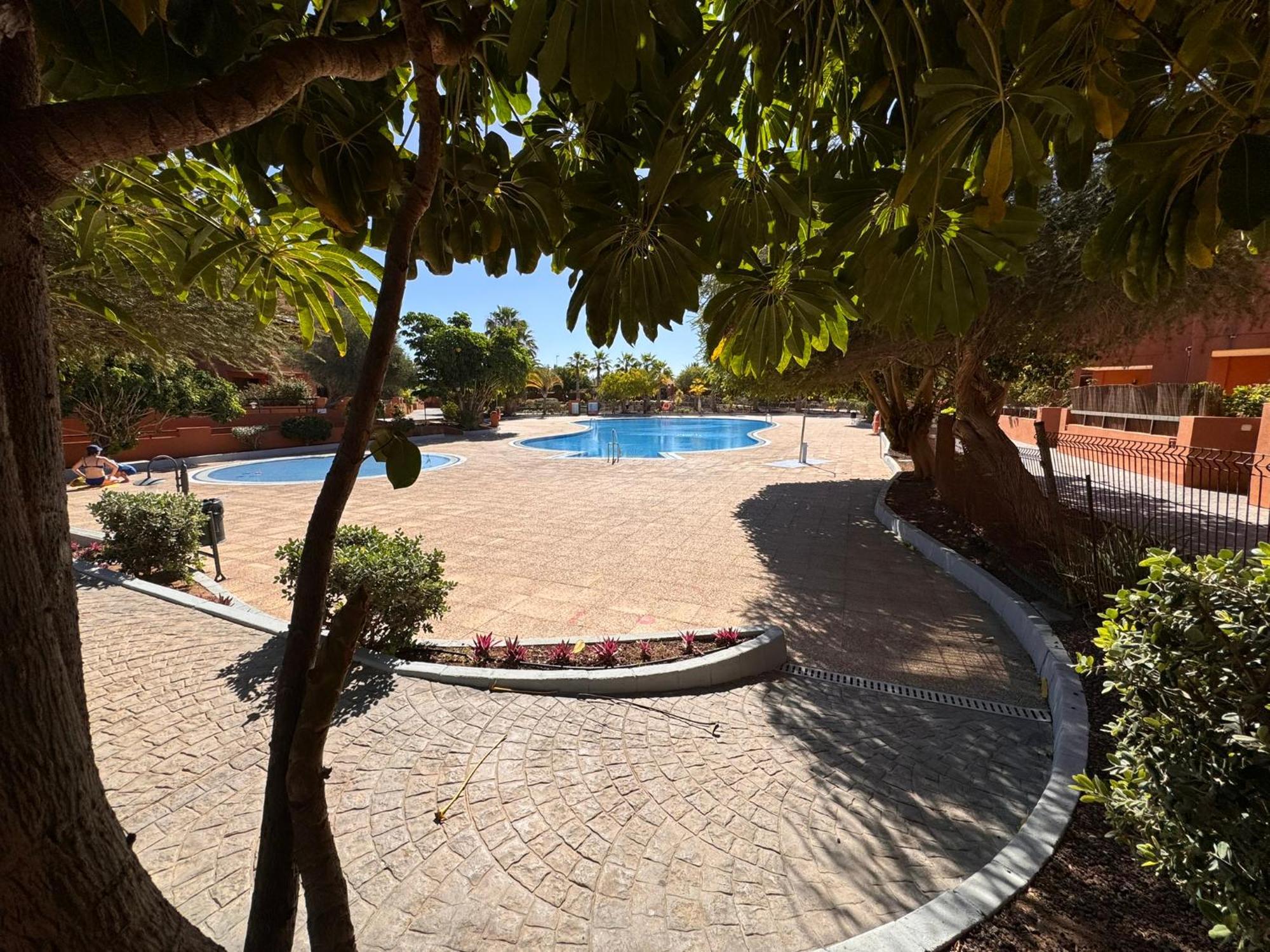 Apartmán Alquilaencanarias Sotavento Paradise Granadilla De Abona Exteriér fotografie